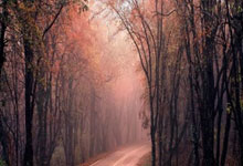 篮球节目争议：评委点评引风波