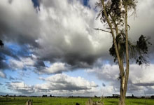 瑞士大胜雅典，实现反戈一击