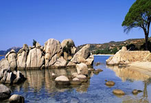 篮球节目争议：评委点评引风波